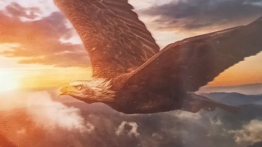 Потеря Изменение Человеческой Матрицы. смотреть онлайн