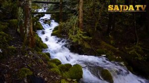 Абдуллох домла ~ Гӯзал Марузалари Тӯплами |Abdulloh domla Go‘zal ma'ruzalari to‘plami