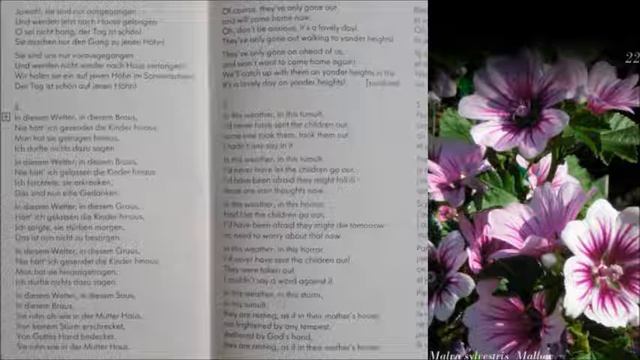 Gustav MAHLER Kindertotenlieder IV, V смотреть онлайн