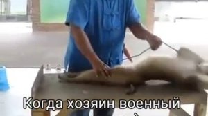 КОГДА ХОЗЯИН ВОЕННЫЙ ОТСТАВНИК.