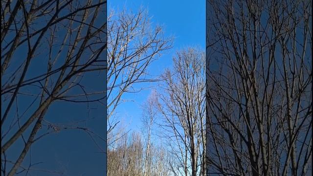 Цените свое настоящее ..... смотреть онлайн