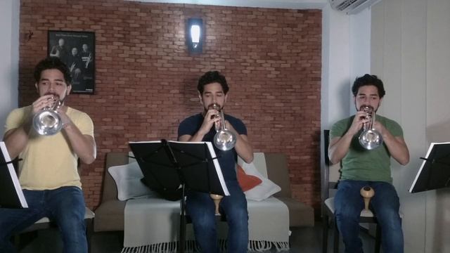 Diego Velasquez - Trumpet excerpts from BARTOK Concerto for Orchestra смотреть онлайн