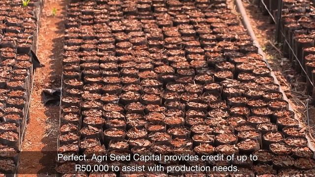AGRI SEED CAPITAL by Mpho Mathithibane – Kempton, Gauteng смотреть онлайн