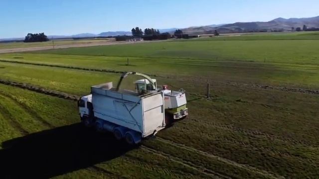 Claas jaguar 840 смотреть онлайн