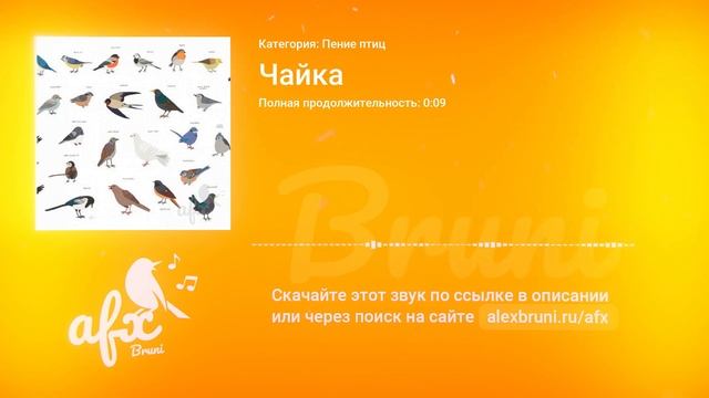 Звук: Чайка смотреть онлайн