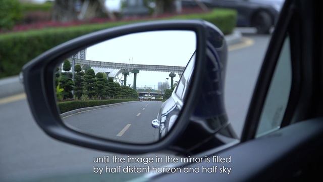 BYD Tang EV | Adjust The Rearview Mirror