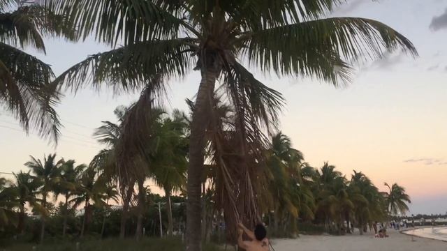 Остаться в живых) смотреть онлайн