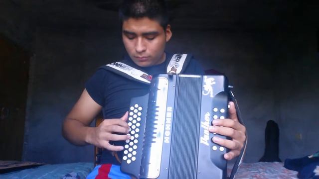 Picame Tarantula - Hohner Panther смотреть онлайн