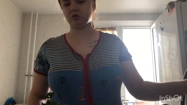 Пересадка цитрусовых и авокадо сад на балконе смотреть онлайн