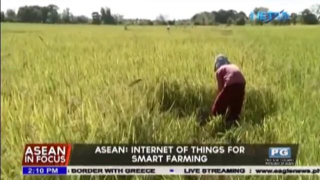ASEAN: Internet of things for smart farming смотреть онлайн