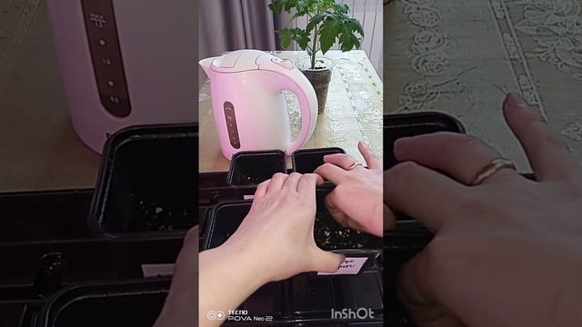 Сею томаты по кипятку. смотреть онлайн