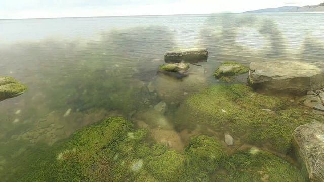 Дикарем на море. День 2. Дивноморское смотреть онлайн