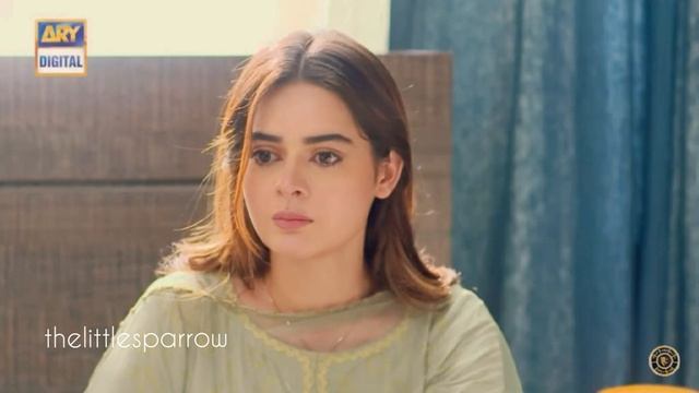 vm on hasadd #Hasad #minalkhan #naintara #shehrozesabzwari #arman смотреть онлайн