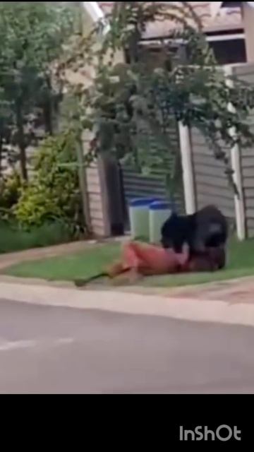 Нуцал Магомедов