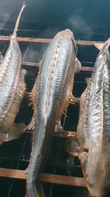 Купить настоящего астраханского осетра горячего копчения. #shorts #short #viral #fishing смотреть онлайн