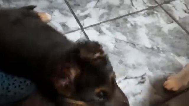 Скорее всего мы подружимся / Most likely we will become friends смотреть онлайн