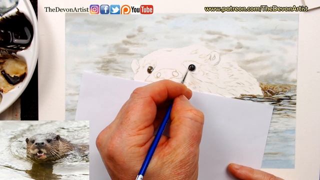 Watercolour Wildlife Painting LIVE FEED - Painting an Otter - Part 1 - Working on the Eyes смотреть онлайн