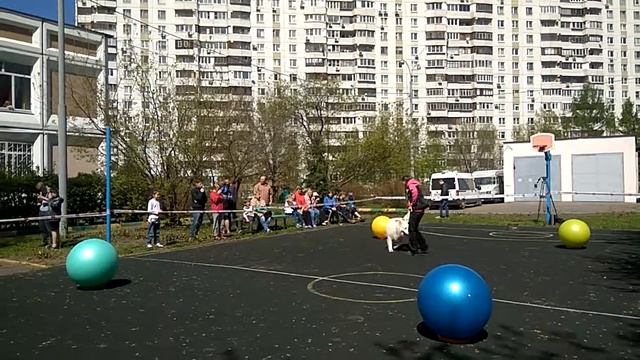 Светлана и Космос "Мое сердце" на празднике в детском доме Южный смотреть онлайн