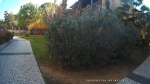 Paloma Oceana Resort Part 1