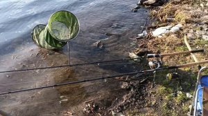 ЛОВЛЯ ЛЕЩА ВЕСНОЙ!!! Рыбалка на фидер. Поклевки леща