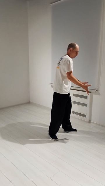 #5 of 21 Form Wushu Kung Fu ZXD Iliqchuan - Drag and Shoulder смотреть онлайн