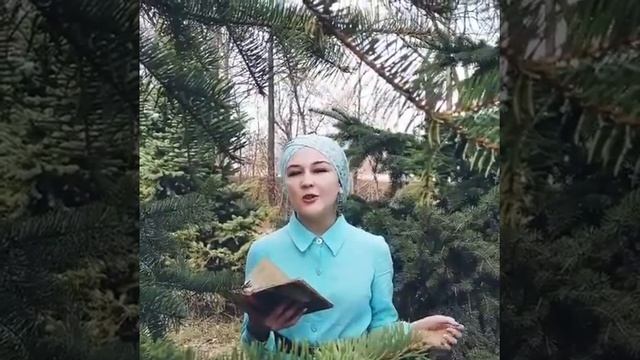 Аделина. Габдулла Тукай
Карлыгач смотреть онлайн