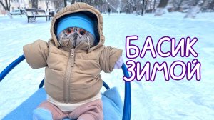 Кот Басик зимой. Прогулка с басиком #Басик #Басики #Волшебные будни