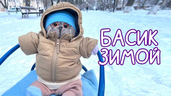 Кот Басик зимой. Прогулка с басиком #Басик #Басики #Волшебные будни