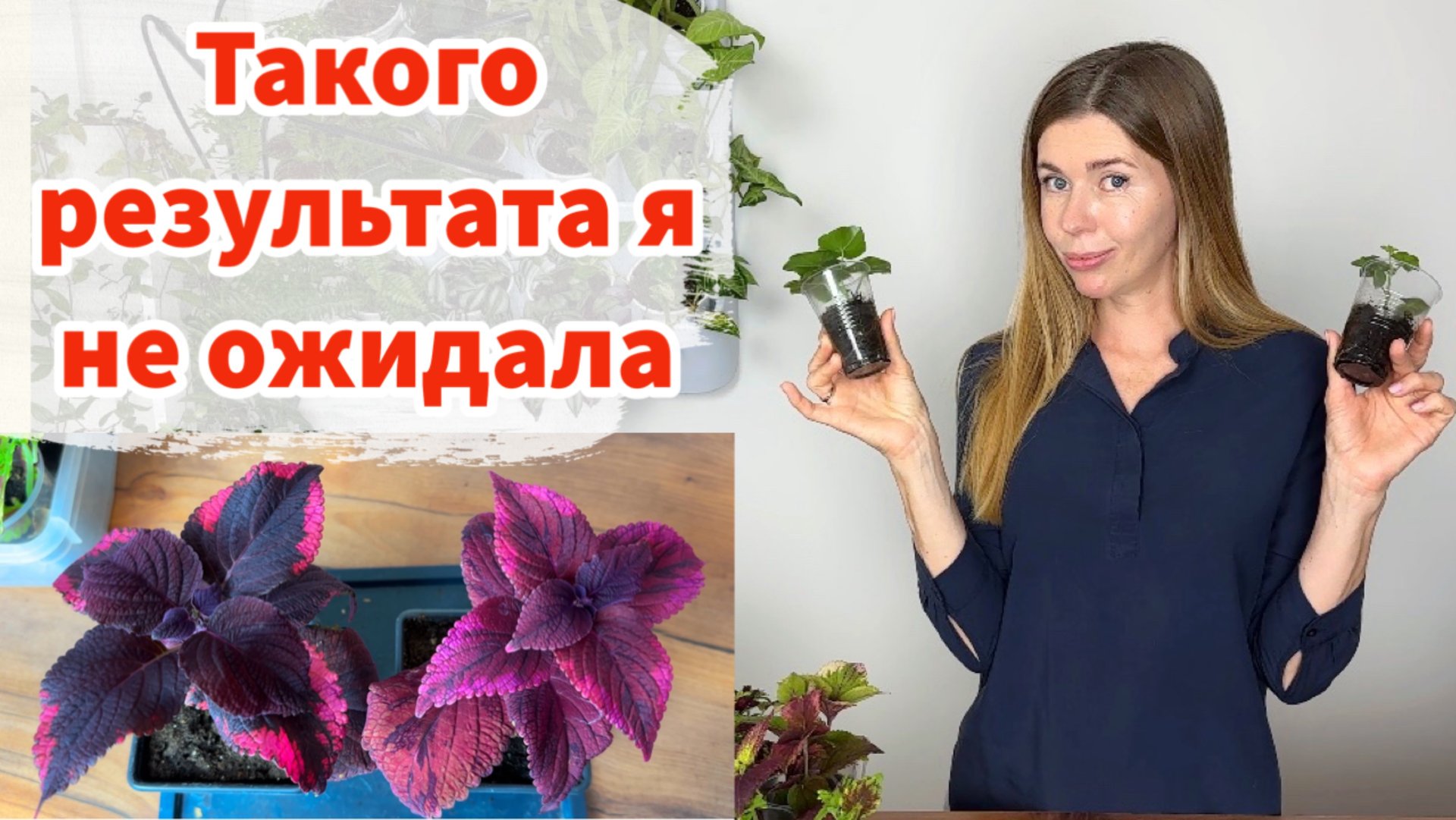 Нужны ли подкормки рассаде и какие?! Мои эксперименты и результаты смотреть онлайн