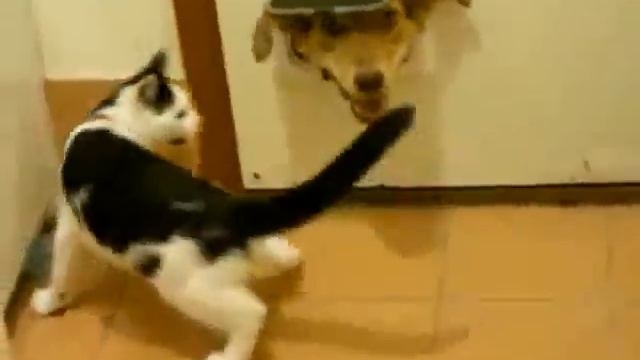 Уходи, пёс! смотреть онлайн