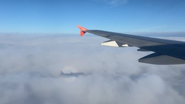 Видели такое? Знакомьтесь это Глория! смотреть онлайн