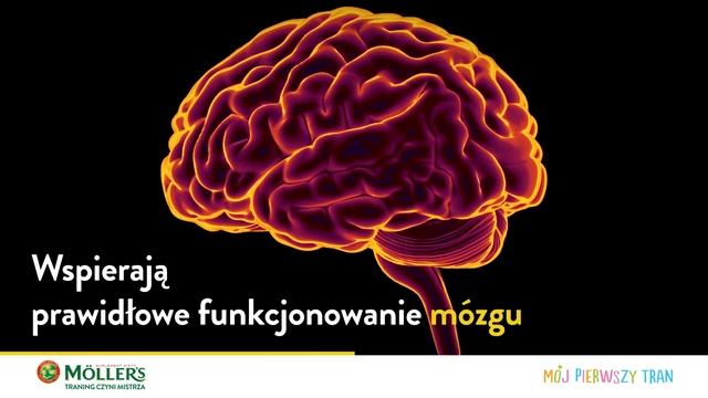 Tran Mollers смотреть онлайн