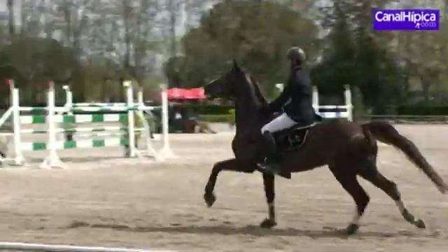 Luis Marquez con RPZ Rembrandt 18.04.10 смотреть онлайн