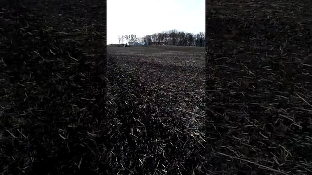 10 марта 2016 закрытие влаги смотреть онлайн