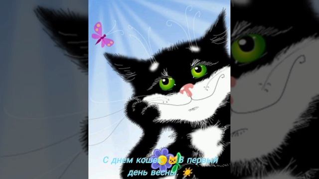 Кошечки. смотреть онлайн