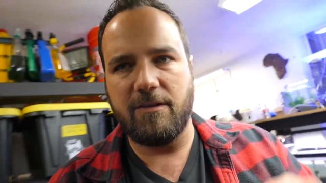 Finding A New Home For My Dwarf Puffers...After My Mistake смотреть онлайн