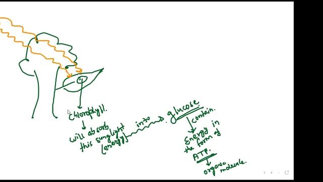 Learnivio | Nutrition in Plants | Lect 5 | 10th Class | 13-07-2022 смотреть онлайн