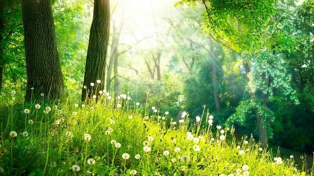 440 гц СПОКОЙНАЯ И РАССЛАБЛЯЮЩАЯ МУЗЫКА смотреть онлайн