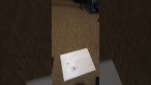 Плотик для утки