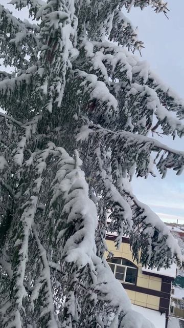 Перезимовали!!! смотреть онлайн