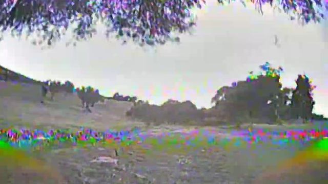 Test mamba mk2 mini en baby hawk 2.5" смотреть онлайн