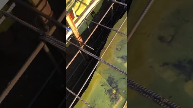 Como trabajar la barilla en EEUU смотреть онлайн