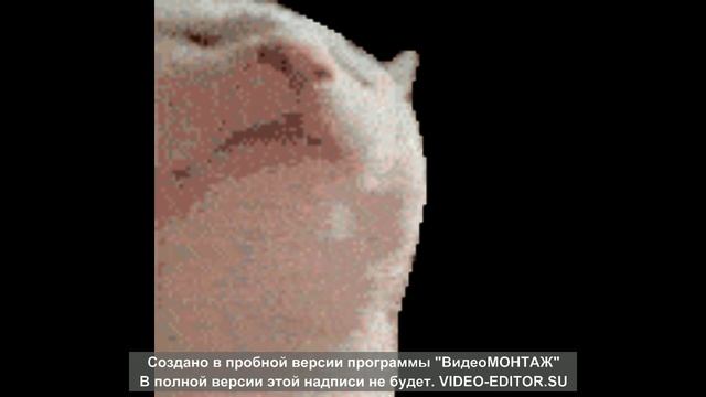 моя музыка!