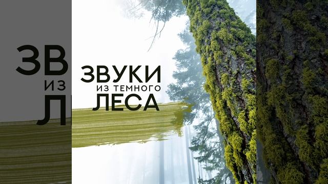 Для глубокого дыхания смотреть онлайн