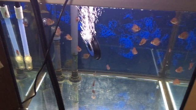 March 10th -- clean water miracles