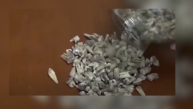 Die schockierende Entdeckung in einem Fluss versetzt Wissenschaftler in Angst und Schrecken! смотреть онлайн