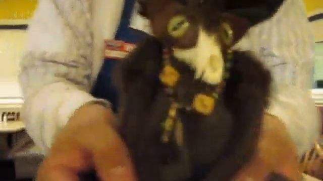 Solaris is a Flasher.wmv смотреть онлайн