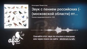 Звук: Звук с пением российских (московской области) птиц в летнем лесу в дневное время суток