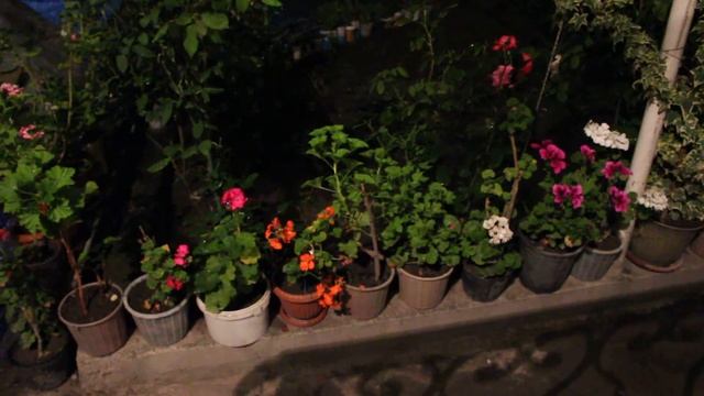 Звук дождя (Релакс) / Rain Sound (relax) смотреть онлайн