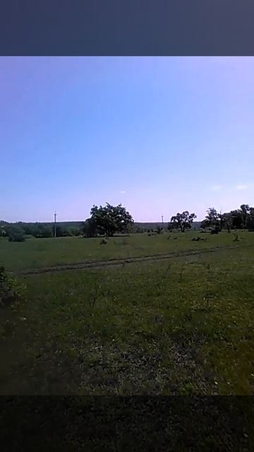 Звук леса и камар в камере))) смотреть онлайн